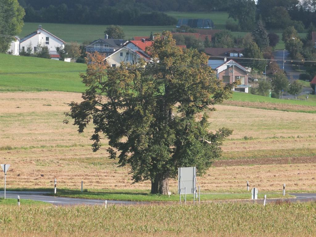 Äußere Linde